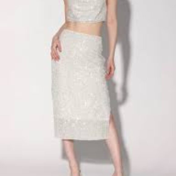 Walter Baker Dresses & Skirts - 37 -NWT-WALTER BAKER CRISTA ICE SEQUIN SKIRT
